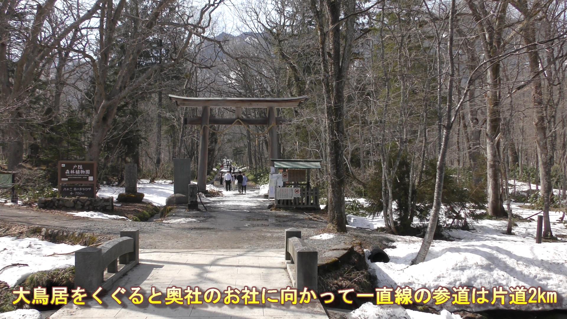 国内有数のパワースポットで知られる「戸隠神社」。スギの巨樹が
